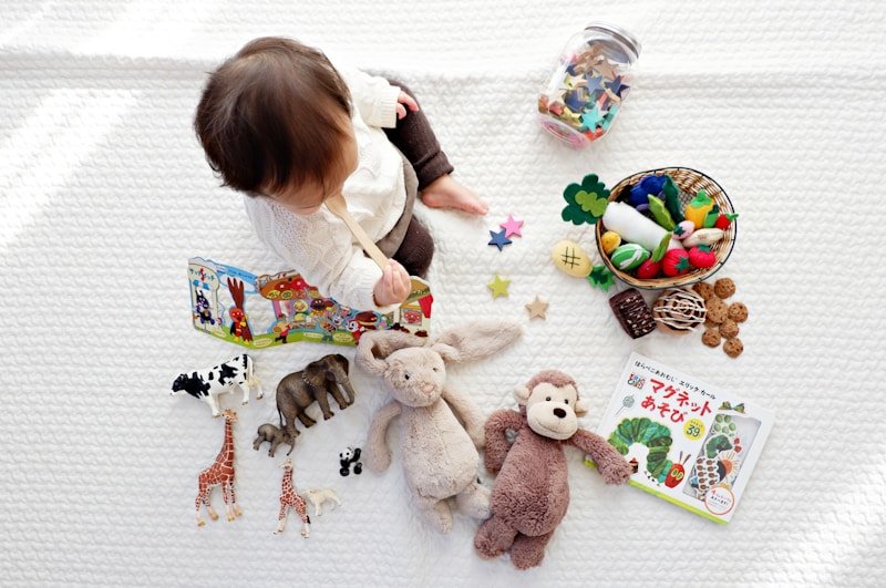 Shumee Non-Toxic Wooden Educational Shape Sorting Activity Toy